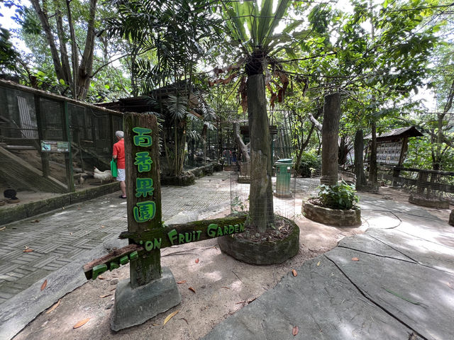 Farm In The City KL – A Fun and Hands-On Experience for the Whole Family