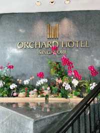Orchard Hotel Singapore: The Perfect Summer Stay in the Heart of the City 