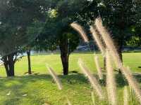 Tara Villa (ธารา วิลล่า)