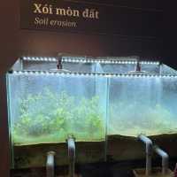 Đi Quy Nhơn, không đi biển thì đi đâu??