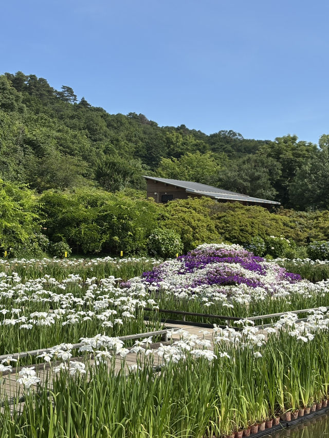 花に癒される！季節の花畑͛💠有名な観光地は？