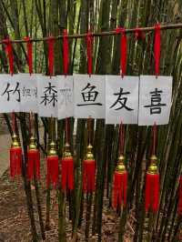 🍃✨ Chinese Garden, Singapore – Hidden Gem 🏯