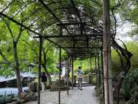 🌿 Humble Administrator’s Garden 拙政园 — A Classical Suzhou Gem