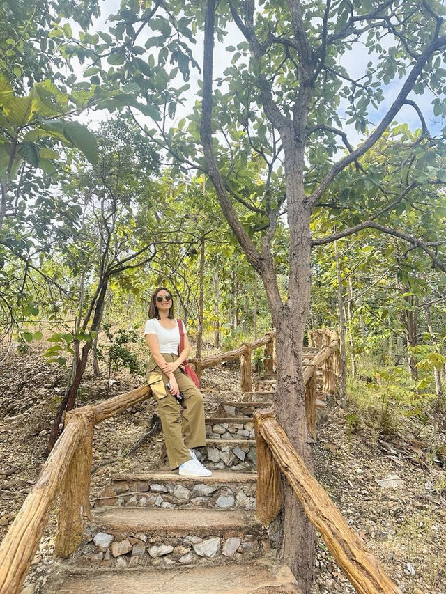 “Exploring Thailand’s Hidden Wonder: Pha Chor Canyon”📸