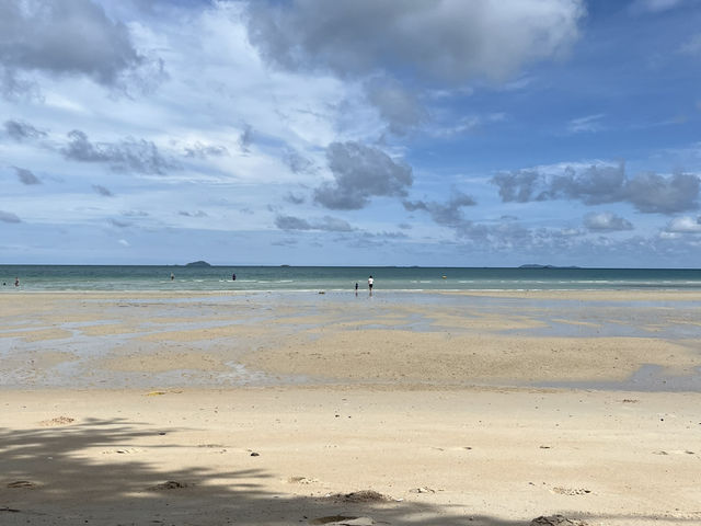 🌴✨ 　ガラスのように輝く白い砂浜、サイケオビーチで心もリフレッシュ。