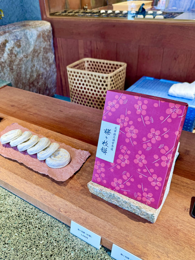 【福岡】期間限定🌟太宰府天満宮の魅力⛩️