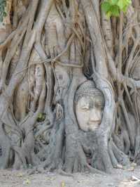 วัดมหาธาตุ