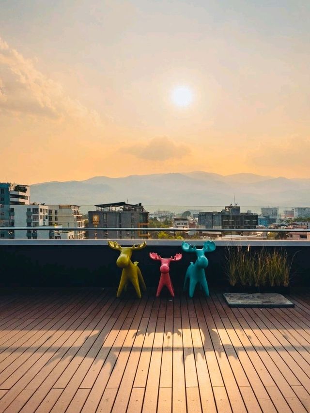 치앙마이에서 놓치지 말아야 할 아늑한 호텔 - Moose Hotel Nimman