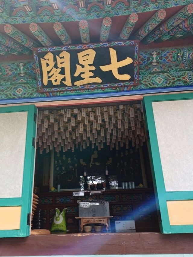 편백 숲길 따라 천년 고찰까지의 상쾌한 숲속 산책🌲