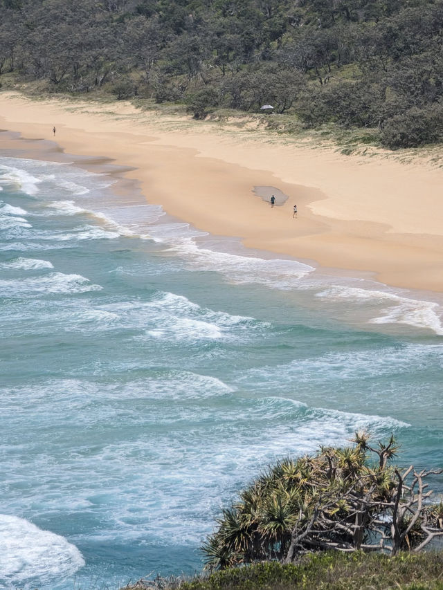 🌊【サーファーズ・パラダイス（Surfers Paradise）】ゴールドコーストを象徴する砂浜と街のパラダイス
