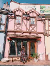 A Whimsical Day at Nami Island & Petite France 🌿✨