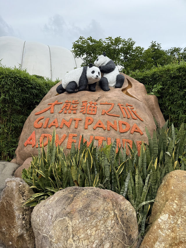 香港海洋公園🥰必睇新出世熊貓🐼回憶必坐纜車🚡