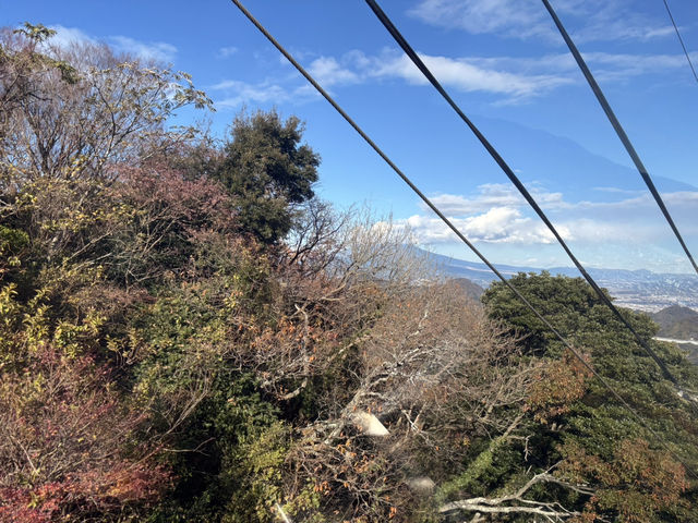 伊豆全景公園-碧色展望台