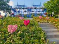 The flower festival at Boramae Park