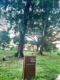 Strolling through the charming Floral Ridge