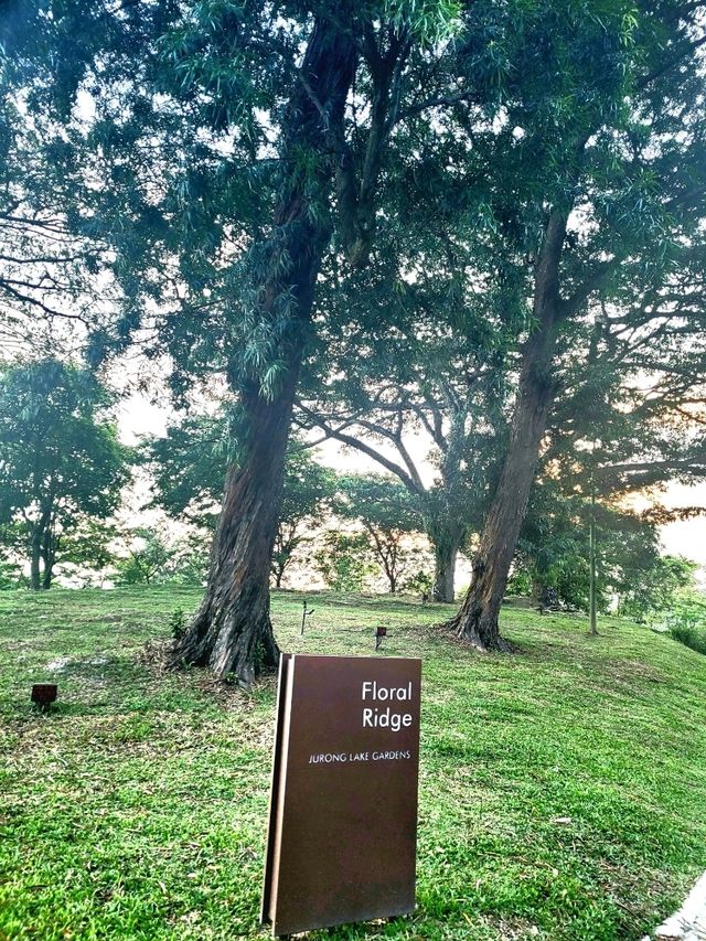 Strolling through the charming Floral Ridge
