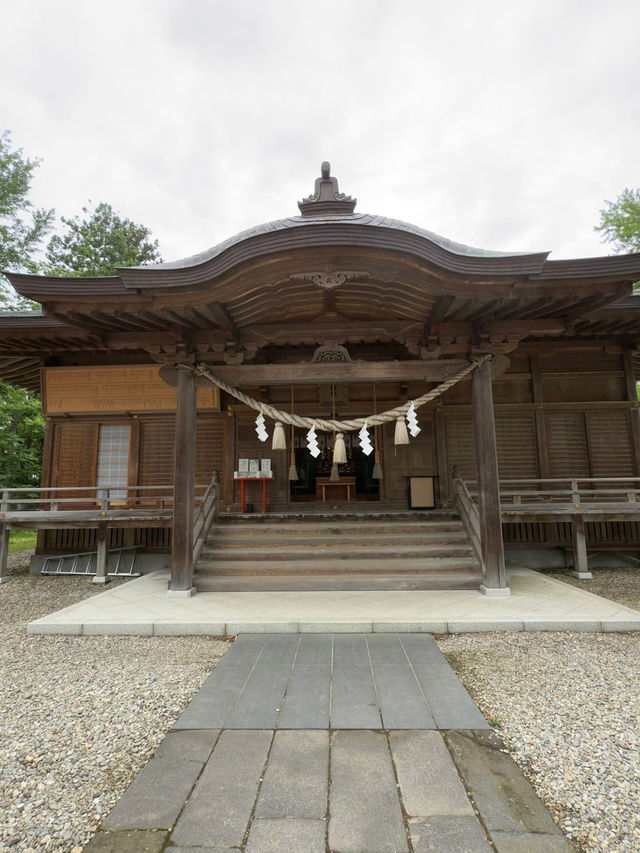 Senshu Park: Hirosaki's Secret Samurai Stroll (With Bonus Cherry Blossom Drama)🏯🌸