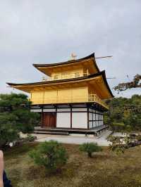Kyoto's Golden Spell: A Morning Walk Around Kinkaku-ji
