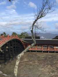日本三景-宮島-嚴島神社（海上大鳥居）