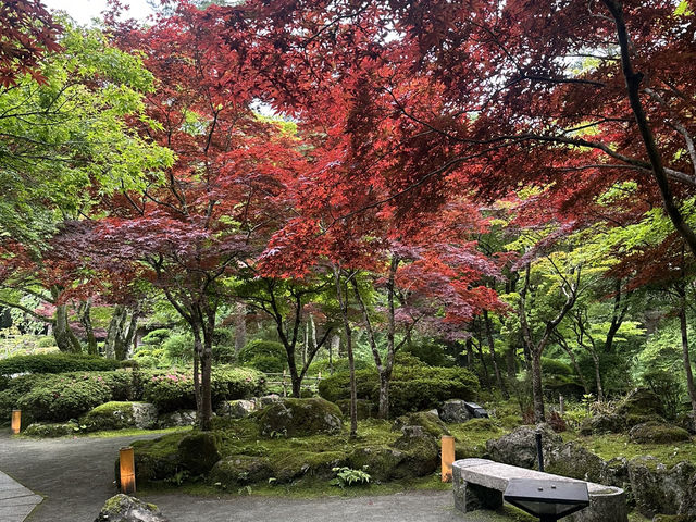 🏔️ [河口湖兩日一夜行程回顧 ✨] —— 睇富士山、浸溫泉、打卡、放空，一次過滿足曬！