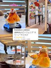 沖縄の最新グルメスポットまとめ🌺