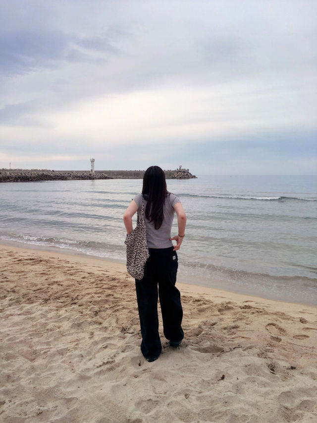 여름 바다를 즐길 수 있는 양양
