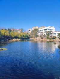 ～禎祥公園~清幽綠洲～