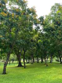 ชวนมาสูดอากาศธรรมชาติ ที่สวนรถไฟ 🌳🌱