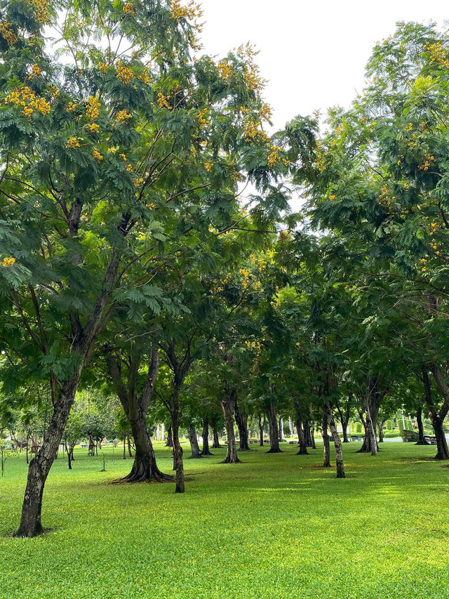 ชวนมาสูดอากาศธรรมชาติ ที่สวนรถไฟ 🌳🌱
