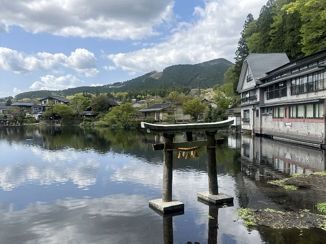 Evening Stroll at Dazaifu Tenmangu: A Peaceful Visit! ⛩️🌸