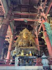 Serenity and History at Todaiji Temple 