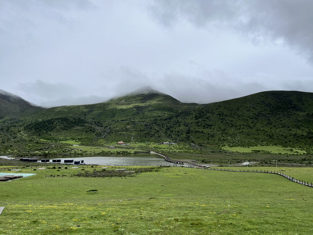 🌈 Kangding’s Muya Holy Land – Where Summer Brings Snow & Rainbows ❄️🐾