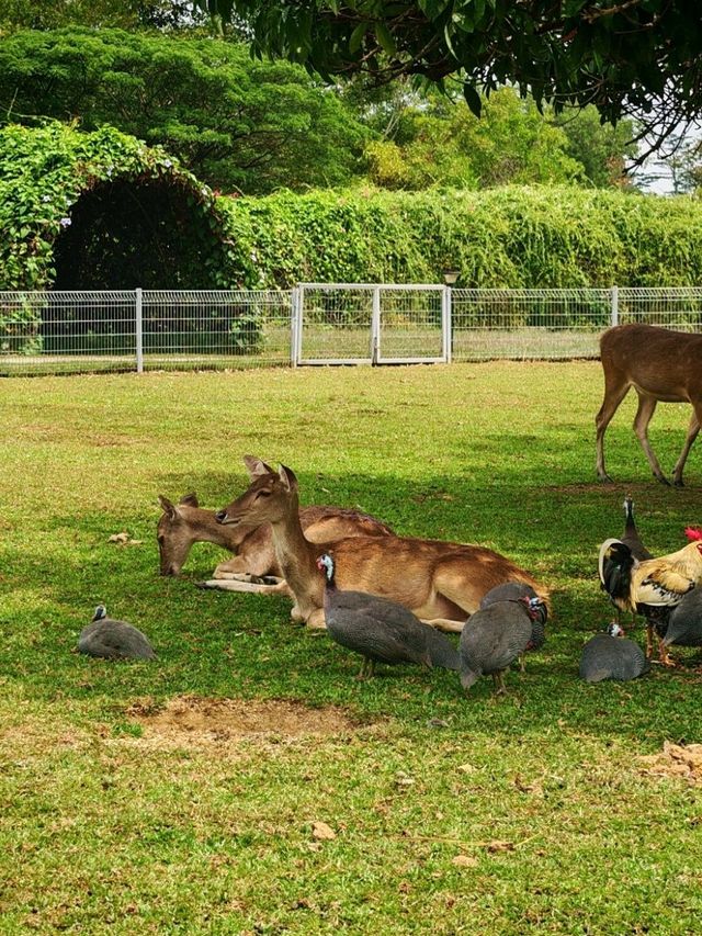 🍓 Farm Fresh @ UPM – A Fun & Fresh Escape from the City! 🐄🌾