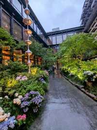 京都 | 新風館，在鬧區中邊逛街邊賞花