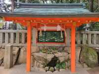 神戶鬧區內的櫻花秘境/生田神社