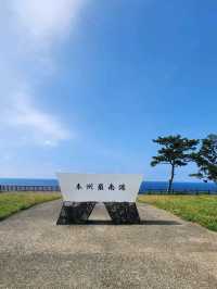 【和歌山グルメ】串本 TSUBAKIcoffeeandmore
