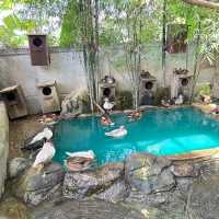 Lanna Mini Zoo (ลานนา มินิ ซู) 🐰🦆🐒