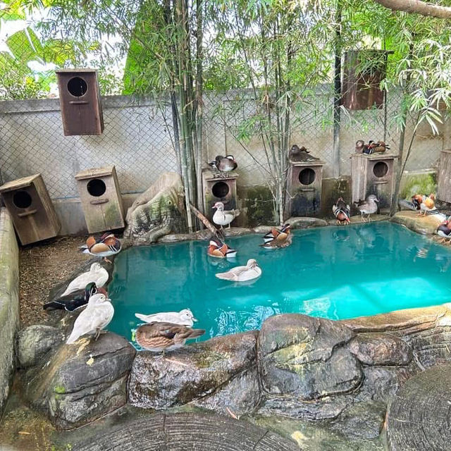 Lanna Mini Zoo (ลานนา มินิ ซู) 🐰🦆🐒