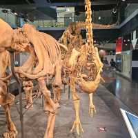 Melbourne Museum & Royal Exhibition Building