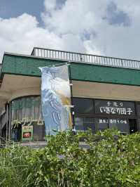 🏞️ 草千里ヶ浜「ニュー草千里」 — 大自然に抱かれる旅の駅＆物産館