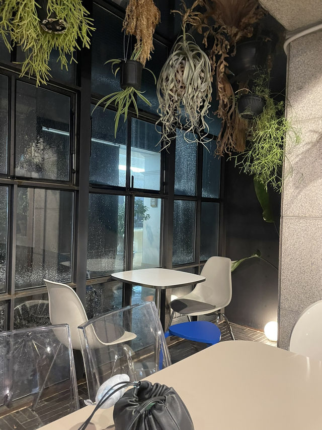 대구 대봉동 카페 브라운슈가☕️ 