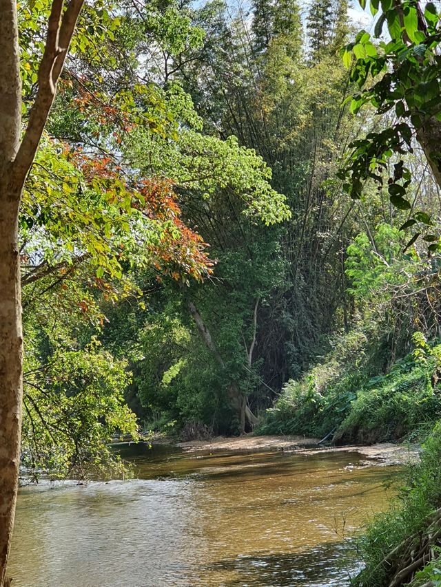 🌿ที่พักสวนผึ้ง บรรยากาศดีติดลำธาร