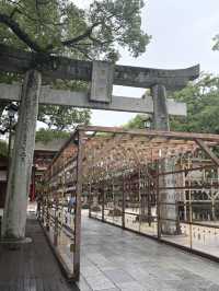 福岡旅行　一人旅