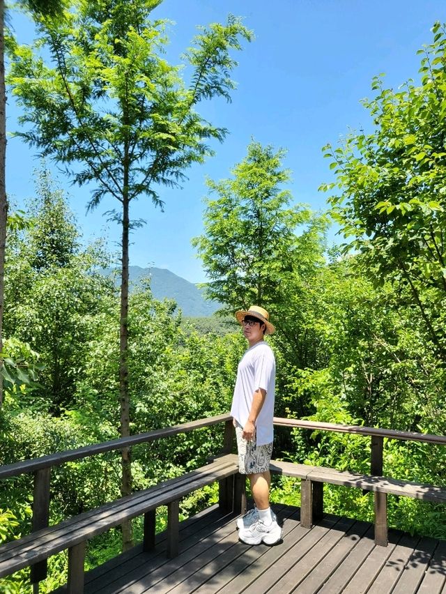 여름에 꼭 가야할 한국의 치앙마이