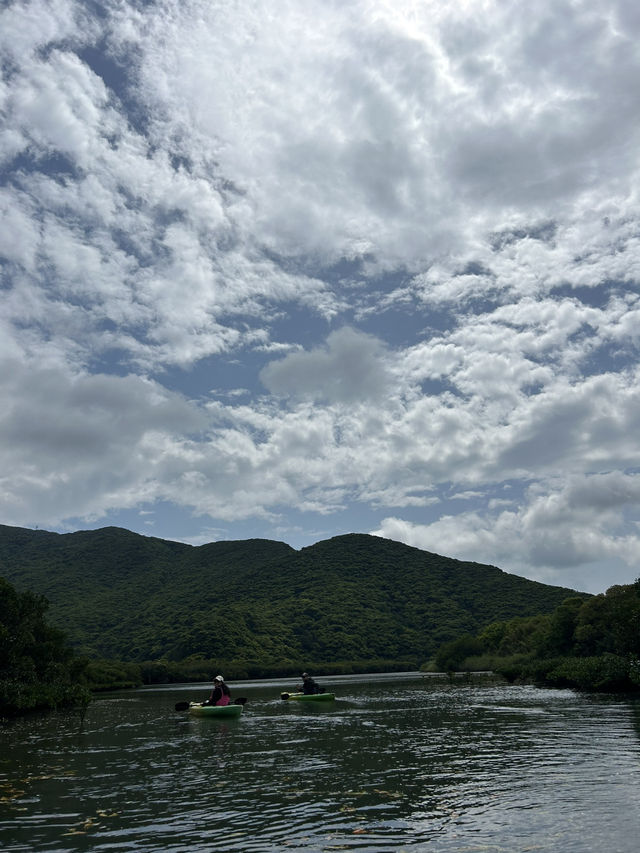 🌴【奄美大島】世界遺産のマングローブでカヌー🛶