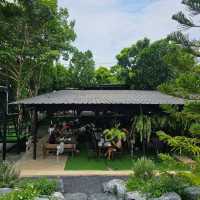 🌿🍽️ Monstera Cafe’ & Restaurants