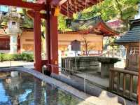 Wishes and Walks at Dazaifu Tenmangu Shrine