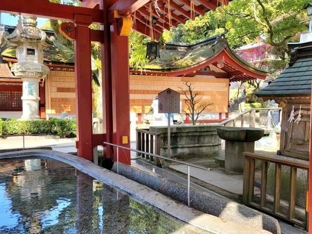 Wishes and Walks at Dazaifu Tenmangu Shrine