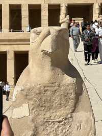Terraces Of Defiance: A Queen’s Geometry Against the Gods