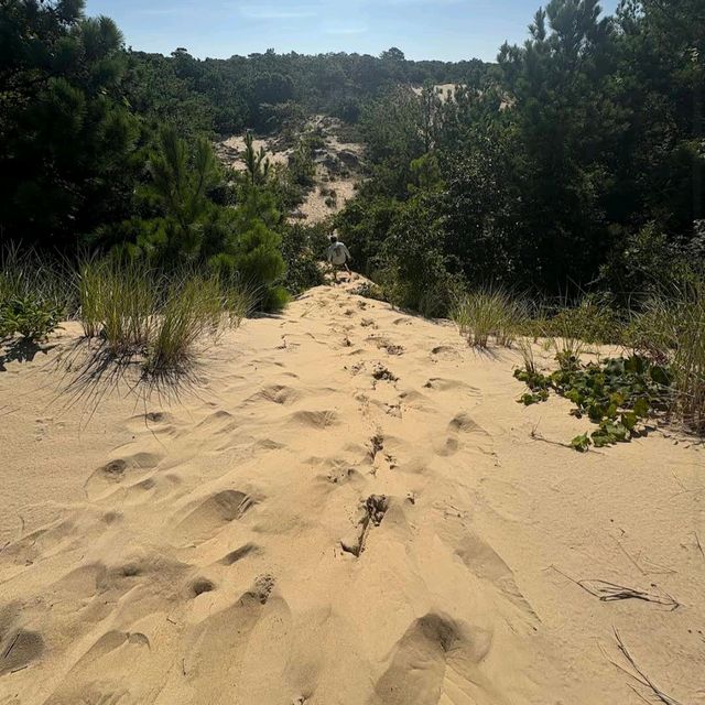 Jockey’s Ridge State Park – Nags Head